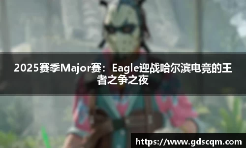 2025赛季Major赛：Eagle迎战哈尔滨电竞的王者之争之夜